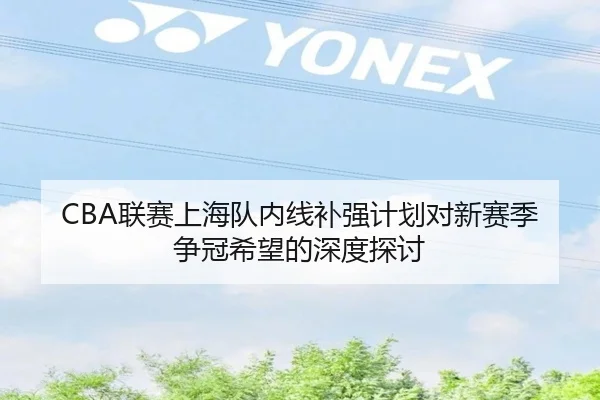 CBA联赛上海队内线补强计划对新赛季争冠希望的深度探讨